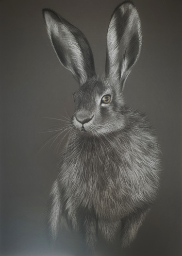 Drawing titled "Hare" by Malanij, Original Artwork, Pastel