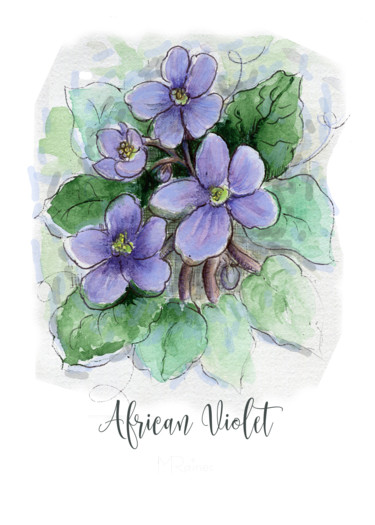 Painting titled "African Violet" by Malinda Ann Raines, Original Artwork, Watercolor