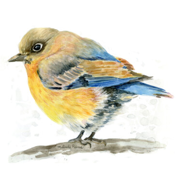 Painting titled "Little Bird" by Malinda Ann Raines, Original Artwork, Watercolor