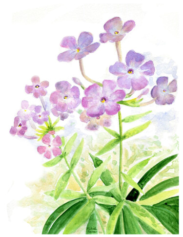绘画 标题为“Pink Wild flowers” 由Malinda Ann Raines, 原创艺术品, 水彩