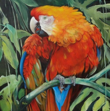 Painting titled "Arara vermelha" by Malou Pombo, Original Artwork, Oil