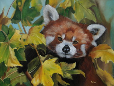 Painting titled "Red Panda" by Malou Pombo, Original Artwork, Oil