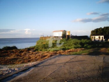 Fotografia intitulada "a chegada" por Malouh Gualberto, Obras de arte originais