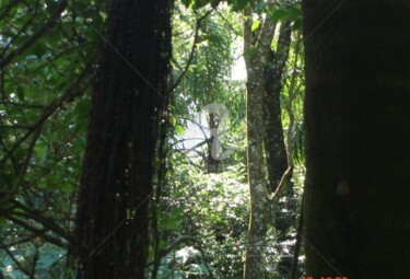 Fotografía titulada "mata em silêncio" por Malouh Gualberto, Obra de arte original