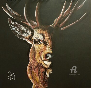Drawing titled "Cerf ombre et lumiè…" by Maman Aigle, Original Artwork, Marker