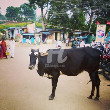 Photographie intitulée "Sacred cow" par Mama Oursa, Œuvre d'art originale