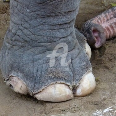 Fotografie getiteld "The Foot" door Mama Oursa, Origineel Kunstwerk