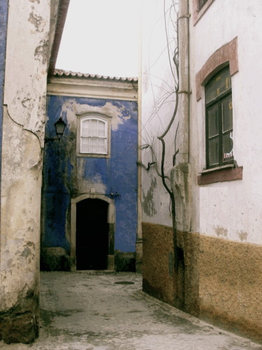 Fotografia intitulada "Alley of the blue h…" por Amamede, Obras de arte originais