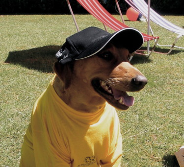Luckie Fotografia intitulada "Luckie" por Amamede, Obras de arte originais