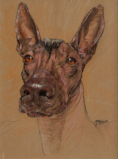 Drawing titled "Bowie the Dog" by Mamé Ríos, Original Artwork, Pencil