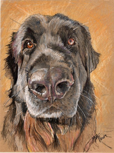 Drawing titled "Dog Tinta" by Mamé Ríos, Original Artwork, Pencil