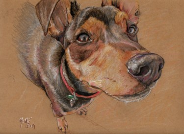 Drawing titled "Pincho the Dog" by Mamé Ríos, Original Artwork, Pencil