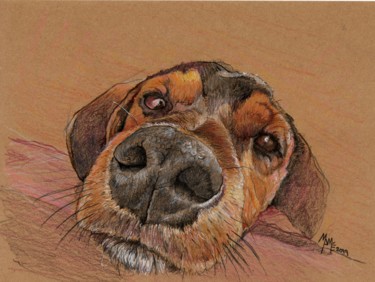 Drawing titled "Agustín the Dog" by Mamé Ríos, Original Artwork, Pencil