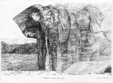 Dessin intitulée "Eléphants recouvert…" par Mamoste Dîn, Œuvre d'art originale, Encre