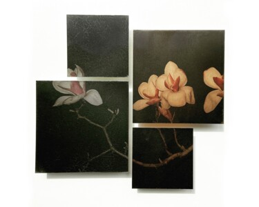 Fotografia intitulada "Magnolia" por Man Zhu, Obras de arte originais, Fotografia digital