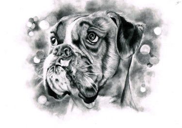 Drawing titled "Boxer chien" by Mandine Créarts, Original Artwork