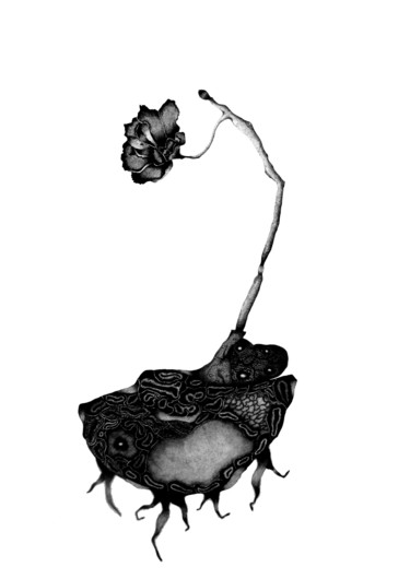 Dibujo titulada "vitae" por Mandy Kermoal, Obra de arte original