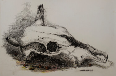 Σχέδιο με τίτλο "Bull's cranium" από Mandy Sand, Αυθεντικά έργα τέχνης, Παστέλ