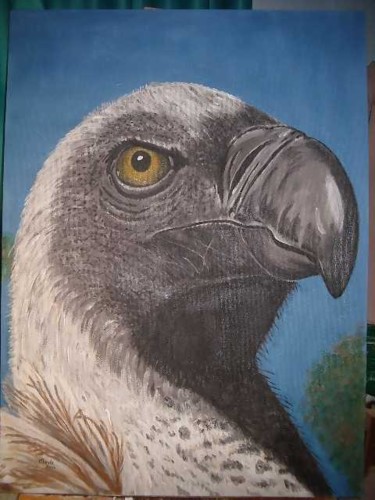 Painting titled "Vulture" by Amanda Swiegers, Original Artwork