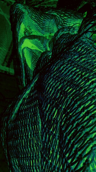 Arts numériques intitulée "Il gufo verde" par Mangani', Œuvre d'art originale