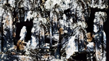 Arte digitale intitolato "Il falco alla fines…" da Mangani', Opera d'arte originale