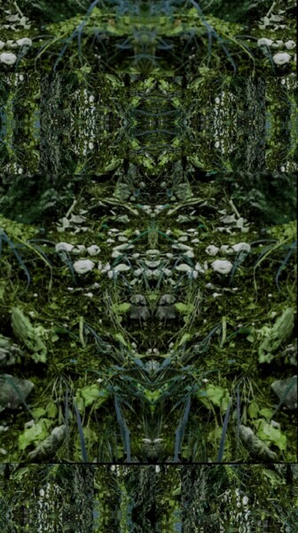Arte digitale intitolato "La Foresta Millenar…" da Mangani', Opera d'arte originale, Fotomontaggio