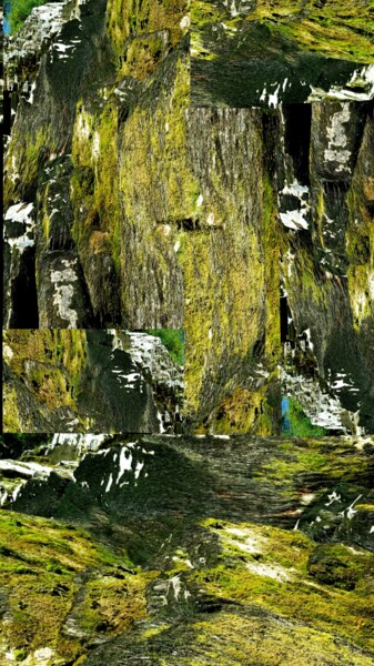 Arts numériques intitulée "La Foresta Millenar…" par Mangani', Œuvre d'art originale, Photo montage