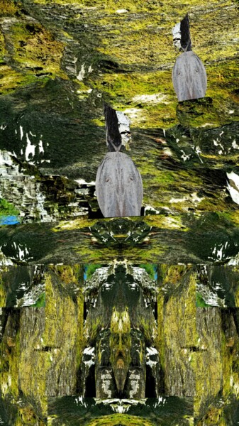 Digitale Kunst getiteld "Il Mago della Fores…" door Mangani', Origineel Kunstwerk, Foto Montage