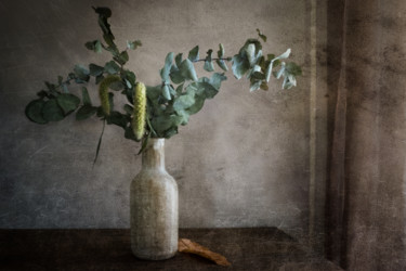 Фотография под названием "Eucalyptus" - Jean-François Mansencal, Подлинное произведение искусства, Цифровая фотография