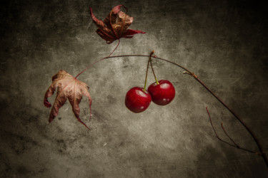 Fotografie mit dem Titel "Cerisier" von Jean-François Mansencal, Original-Kunstwerk, Digitale Fotografie
