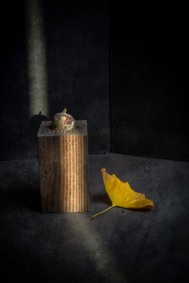 Photographie intitulée "figue pourrie" par Jean-François Mansencal, Œuvre d'art originale, Photographie numérique