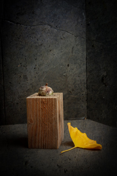 Photographie intitulée "figue pourrie 2" par Jean-François Mansencal, Œuvre d'art originale, Photographie numérique