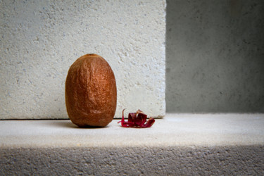 Photography titled "Kiwi sec" by Jean-François Mansencal, Original Artwork, Digital Photography