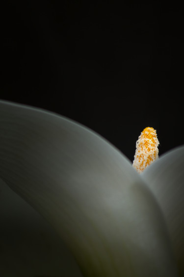 Photographie intitulée "Phare" par Jean-François Mansencal, Œuvre d'art originale, Photographie numérique