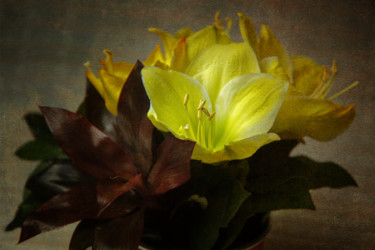 Photographie intitulée "Fleurs jaunes" par Jean-François Mansencal, Œuvre d'art originale, Photographie numérique