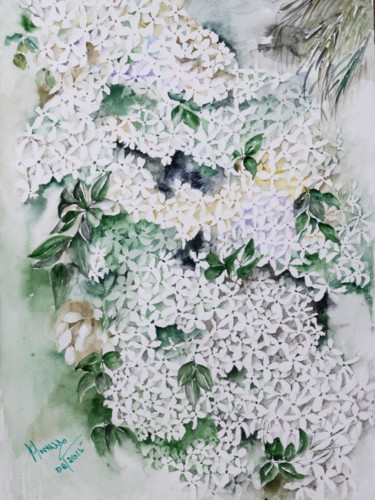 Painting titled "Star jasmine" by Manju Srivatsa, Original Artwork, Watercolor