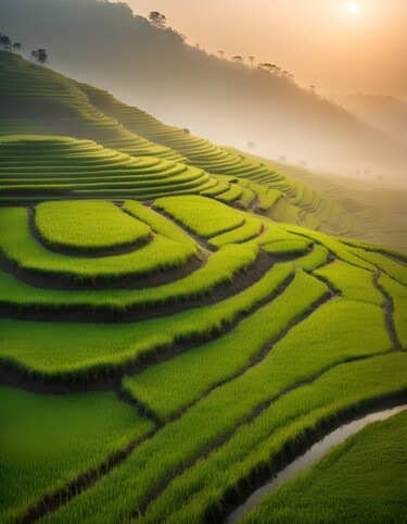 Digital Arts titled "Paddy Hillscapes in…" by Mankdhani, Original Artwork, AI generated image
