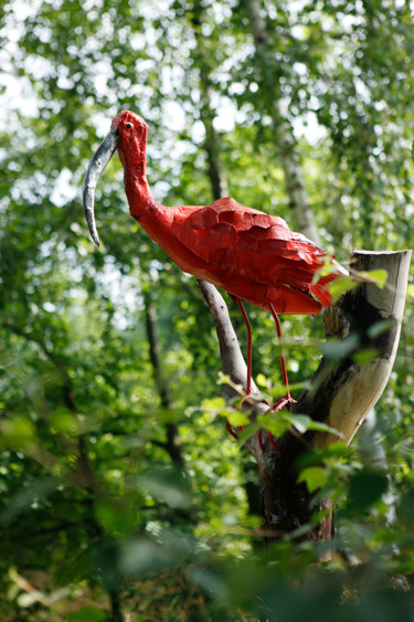 Sculpture titled "IBIS ROUGE" by Gillsman, Original Artwork