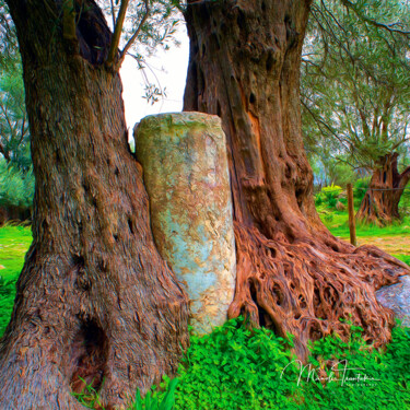 Fotografie getiteld "The old olive tree…" door Manolis Tsantakis, Origineel Kunstwerk, Digitale fotografie