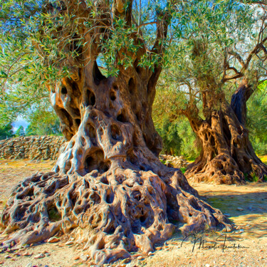 Photographie intitulée "Old olive trees - 5" par Manolis Tsantakis, Œuvre d'art originale, Photographie numérique