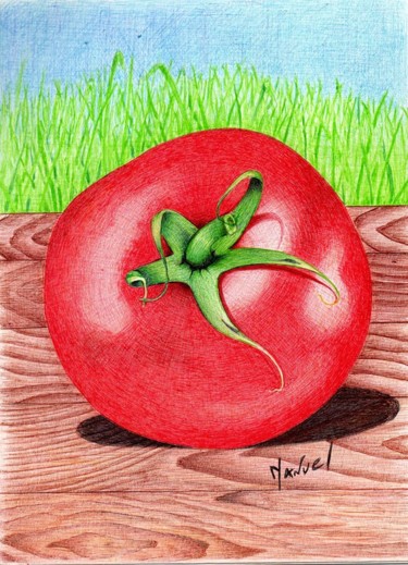 Dessin intitulée "la tomate" par Manu Draftsman, Œuvre d'art originale