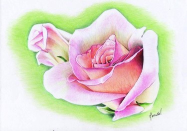 Dessin intitulée "la-rose-2" par Manu Draftsman, Œuvre d'art originale