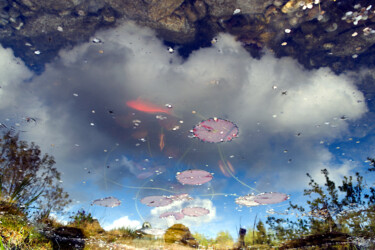 Fotografie mit dem Titel "Big fish in a small…" von Manuel Backer, Original-Kunstwerk, Digitale Fotografie