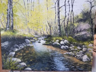 Peinture intitulée "ruisseau en Cévénnes" par Manuel Martin, Œuvre d'art originale, Huile