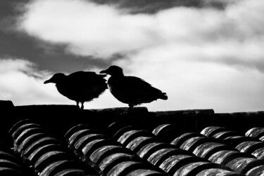 Fotografía titulada "Pájaros" por Manuel Sáez, Obra de arte original, Fotografía digital