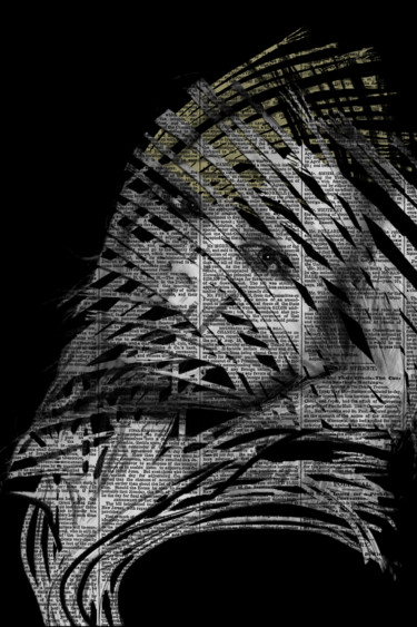 Digitale Kunst mit dem Titel "Portrait3" von Manueldoliveira, Original-Kunstwerk, Collagen