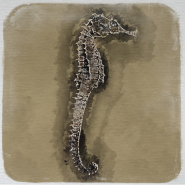 Digitale Kunst mit dem Titel "Seahorse" von Manueldoliveira, Original-Kunstwerk, Digitale Fotografie