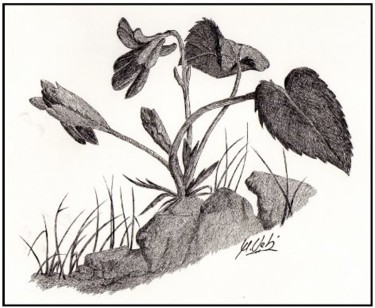 Dibujo titulada "flor y rocas" por Manuel Velis Gaspar, Obra de arte original