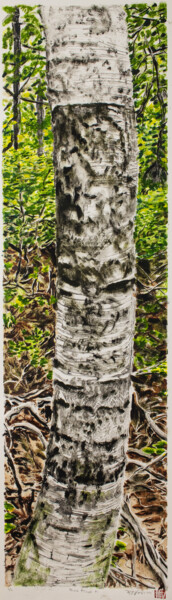 Printmaking titled "Birch Trunk #1" by Michael E. Voss, Original Artwork, Oil