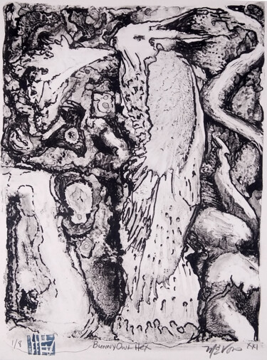 Druckgrafik mit dem Titel "Bunny Owl Hex" von Michael E. Voss, Original-Kunstwerk, Lithographie